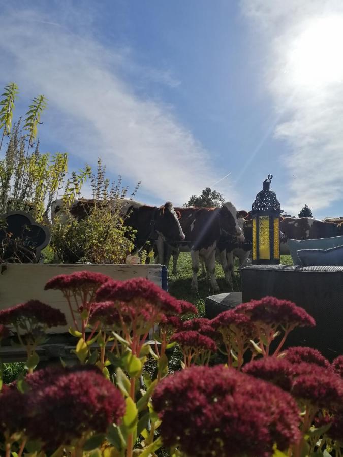 Petite Maison Sur La Colline Du Gibloux: 1Chambre,1 Salon Et Salle De Bain Prives Au Rez De Chausse, Piscine Exterieur Et Bbq , Le Chatelard  Bagian luar foto